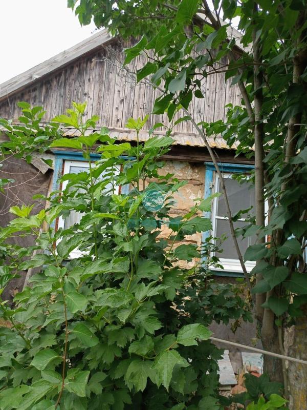 Дом, Астраханская область, с. Никольское, ул. Кошманова, 22. Фото 1