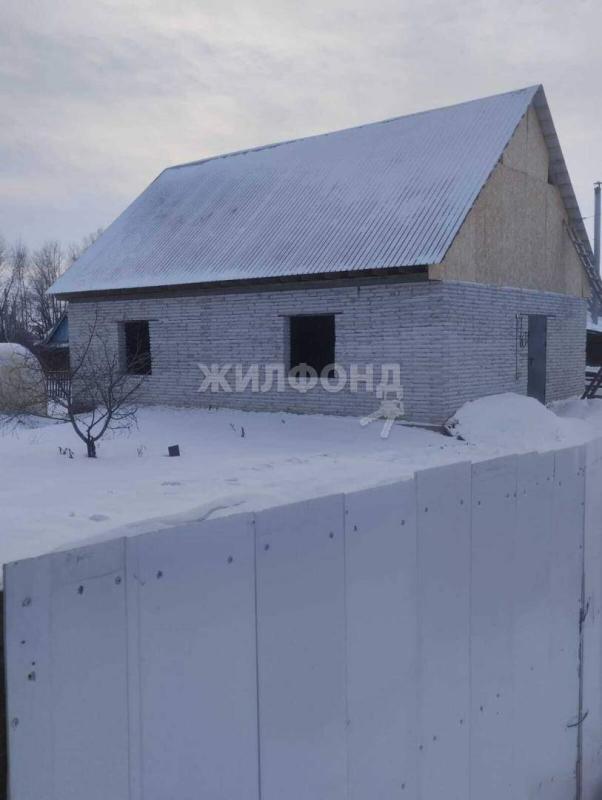 Дом, Новосибирская область, пос. Ложок. Фото 1