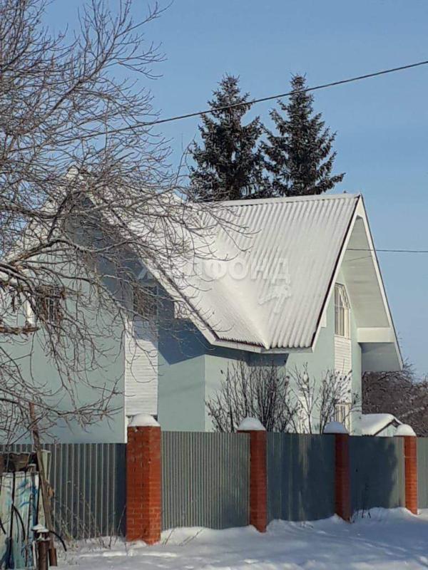 Дом, Новосибирская область, дер. Ерестная, Береговая улица. Фото 1
