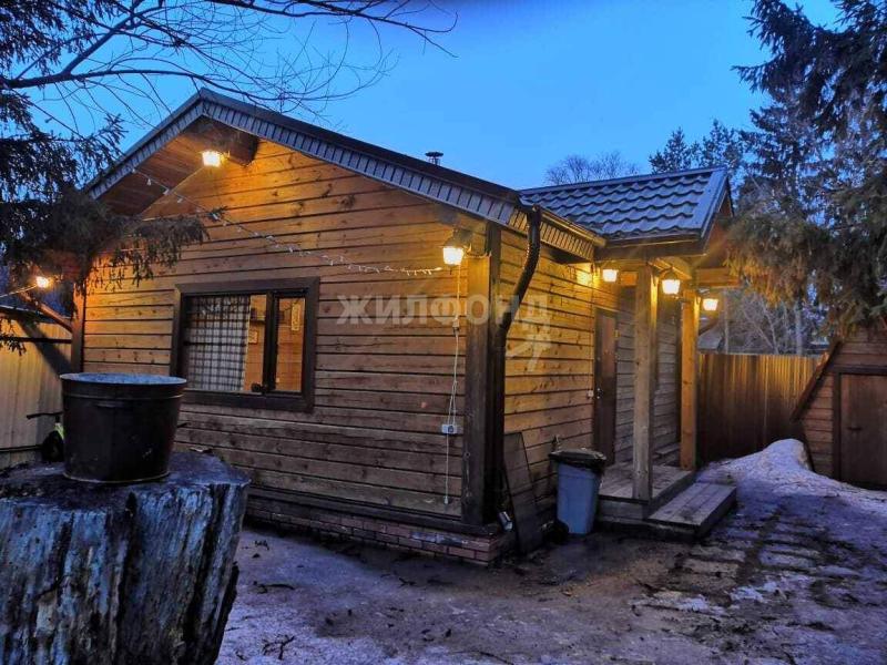 Дом, Новосибирская область, СНТ Обская Волна. Фото 1