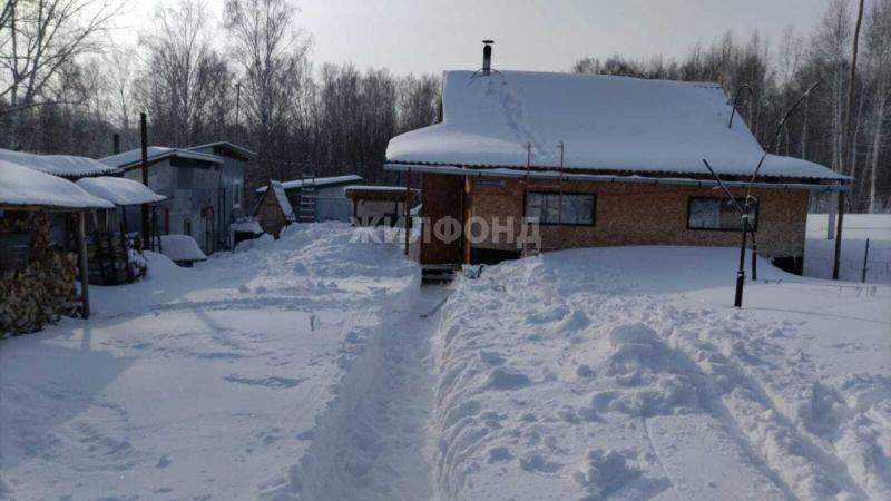 Дом, Новосибирская область, с. Быково, Школьная улица. Фото 1