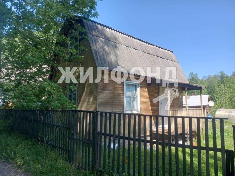 Дом, Новосибирская область, с. Сарапулка. Фото 1