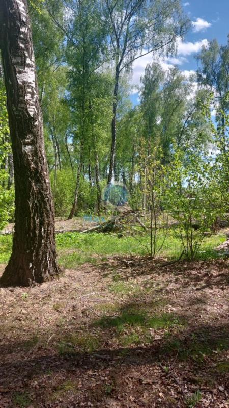 Купить Землю В Расторгуево Видное Московской Области