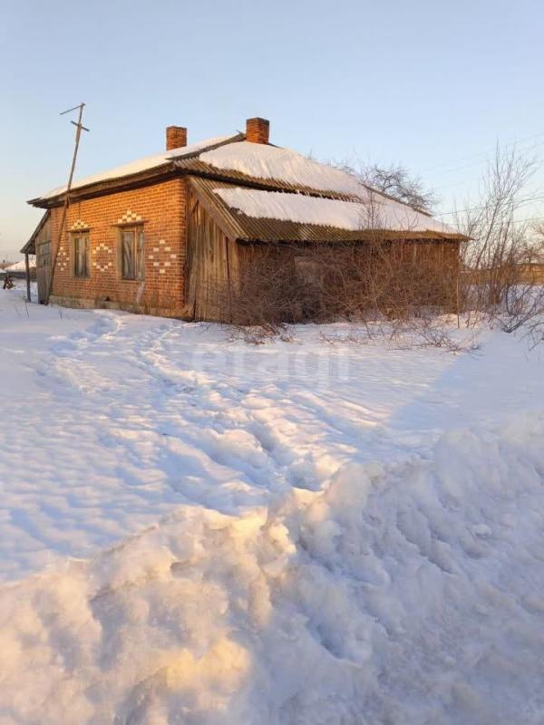 Дом, Челябинская область, дер. Боровое, ул. Гагарина, 28. Фото 1