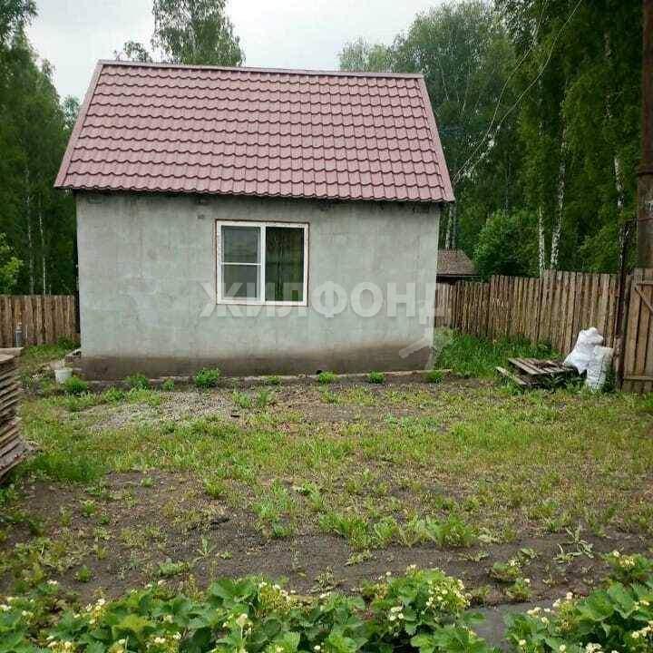 Дом, Новосибирская область, садовое товарищество Надежда. Фото 1