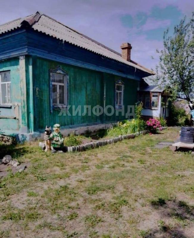 Дом, Новосибирская область, с. Репьёво, Береговая улица. Фото 1
