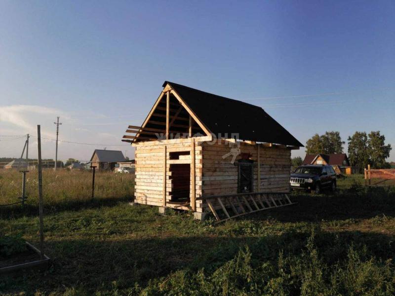 Дом, Новосибирская область, с. Новопичугово. Фото 1
