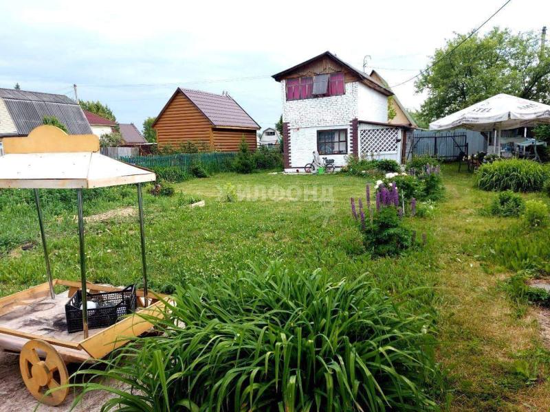 Дом, Новосибирская область, садовое товарищество Авиатор. Фото 1