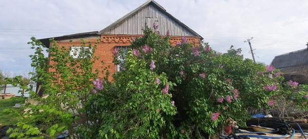Дом, Краснодарский край, станица Калужская, ул. Пашехонь, 26. Фото 1