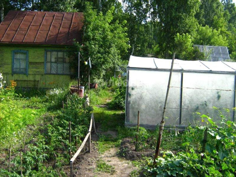 Дом, Новосибирская область, садовое товарищество Проектировщик. Фото 1
