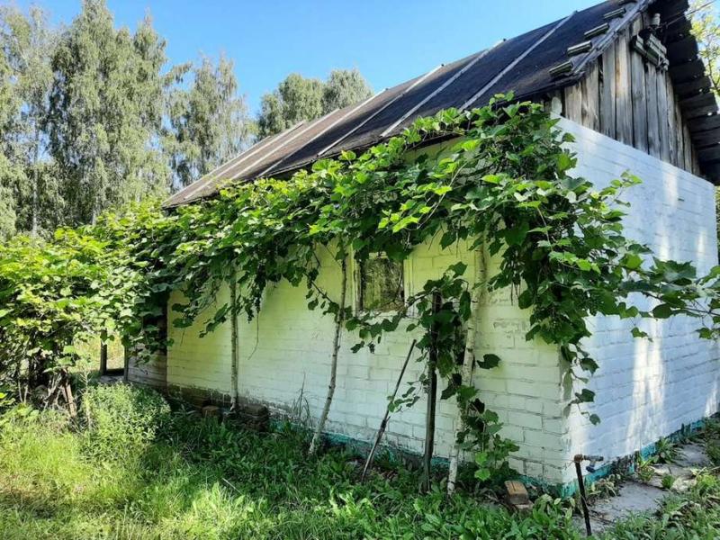 Дом, 35 м², 6 сот.