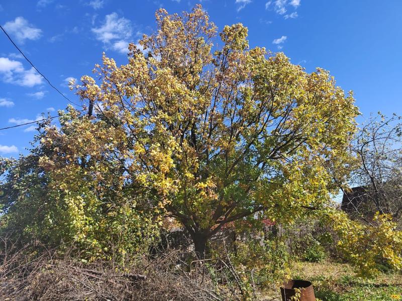 Дом, 12 м², 8 сот.