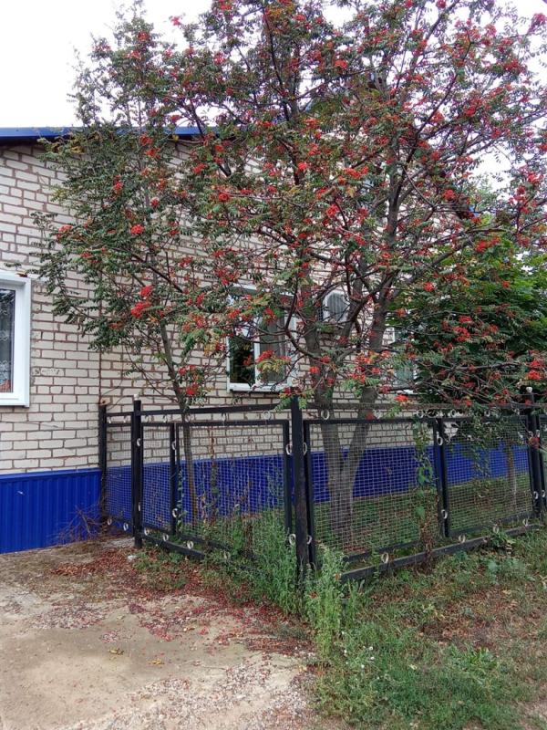 Дом, 109 м², 10 сот.