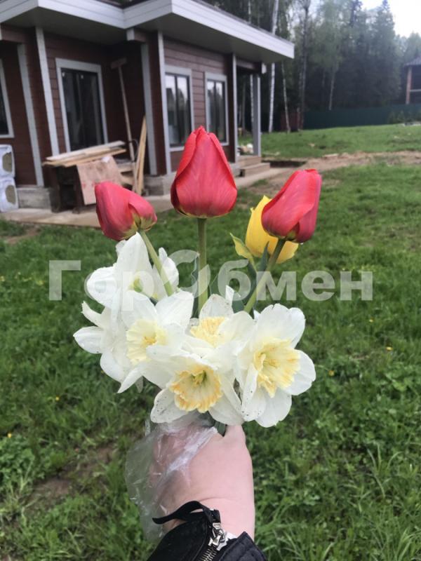 Дом, Москва, квартал № 206, Лесная улица, 12. Фото 5