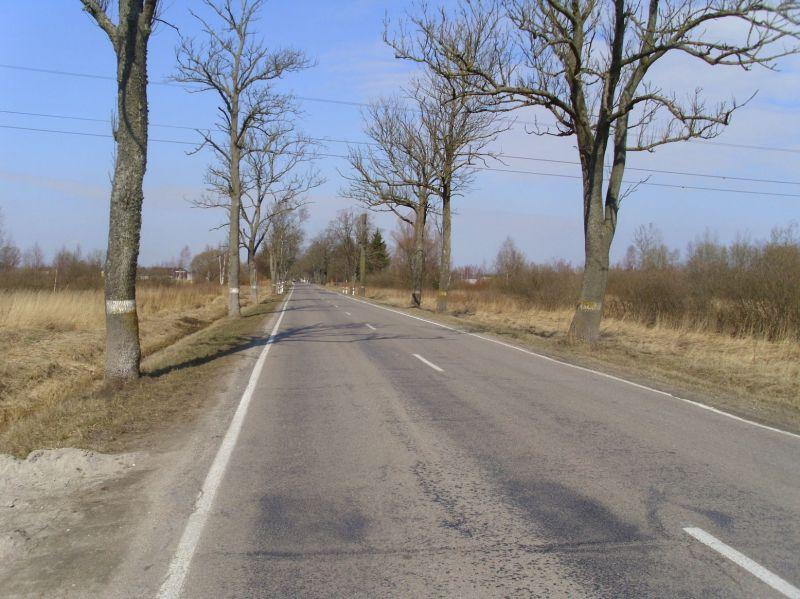 Купить Земельный Участок В Калининградской Области