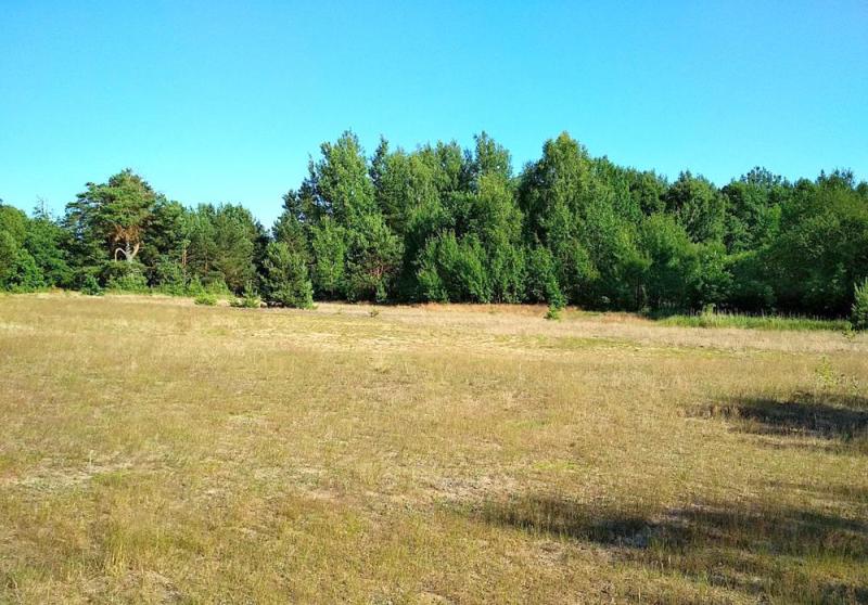 Купить Участок В Калининградской Области У Моря