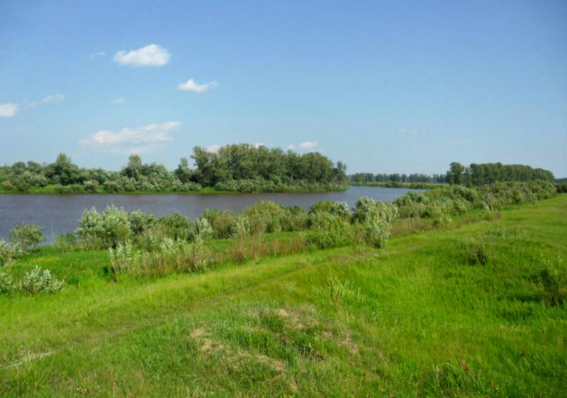 Земельный участок, Калининградская область, Гвардейск. Фото 1