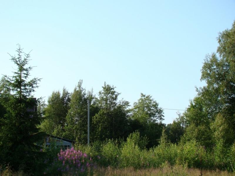 Земельный участок, Новгородская область, Старая Русса. Фото 1