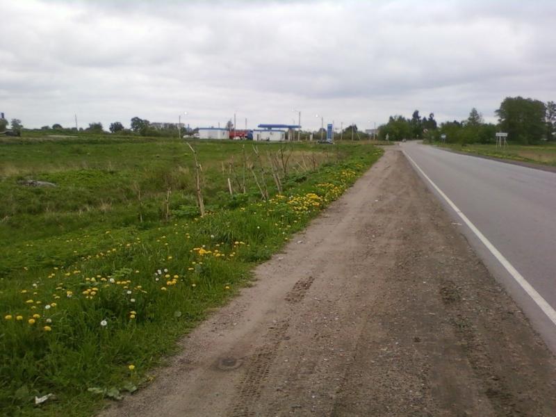 Земельный участок, Ленинградская область, Волхов. Фото 1