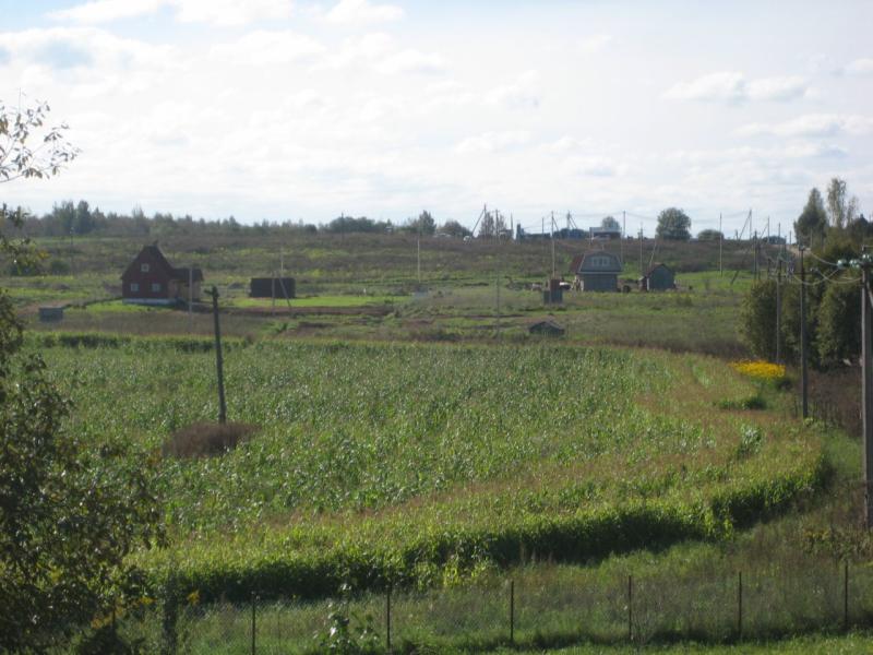 Земельный участок, Новгородская область, пос. Батецкий. Фото 1