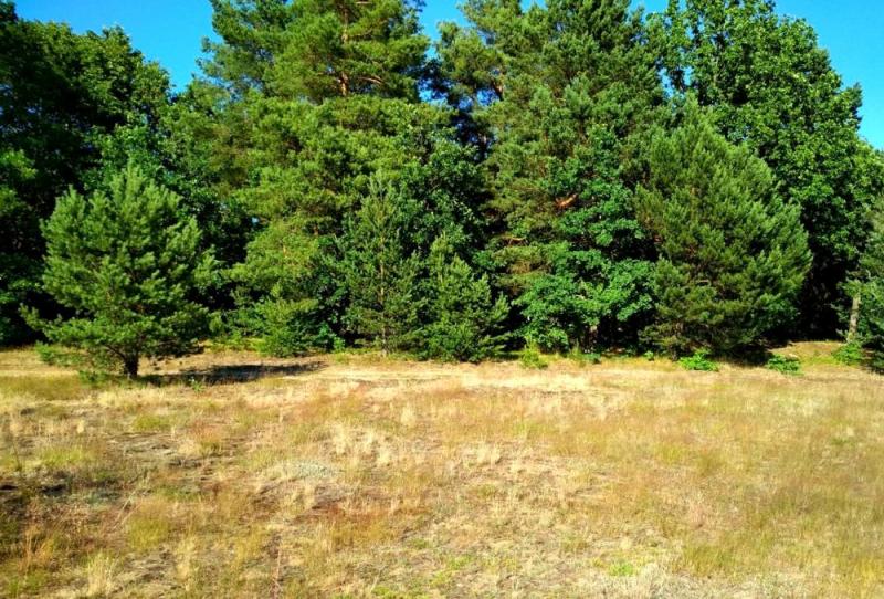 Купить Участок В Калининградской Области У Моря