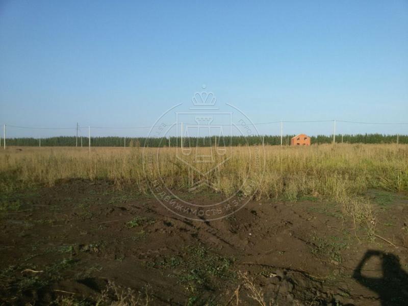 Земельный участок, Республика Татарстан, с. Сапуголи. Фото 1