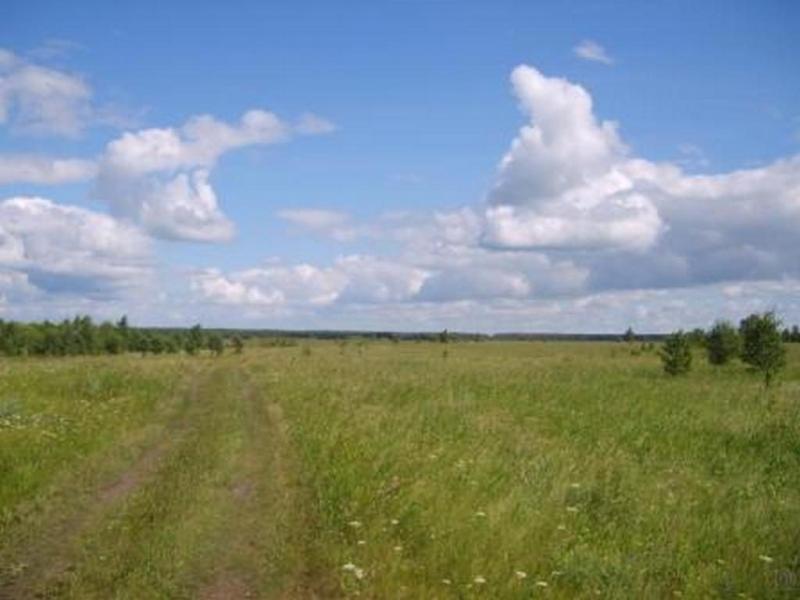 Земельный участок, Челябинская область, с. Клеопино. Фото 1