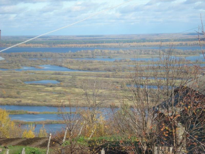 Земельный участок, Нижегородская область, с. Каменки. Фото 1