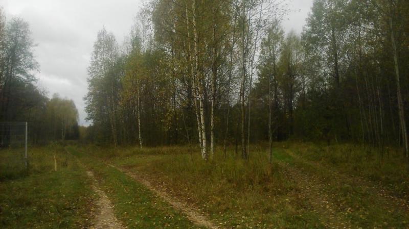 Земельный участок, 8 сот.
