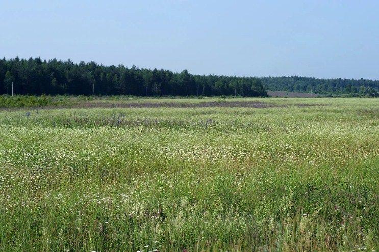 Земельный участок, 12.6 га., Садоводство