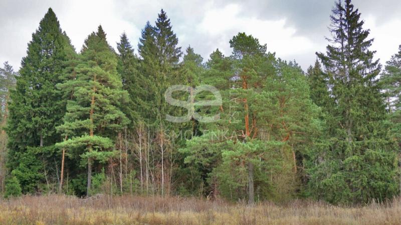 Земельный участок, 3 га.