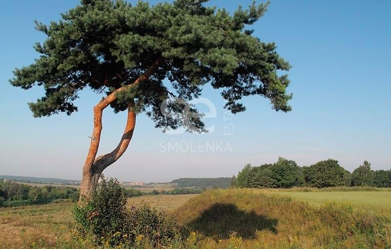 Земельный участок, 83 сот., ИЖС