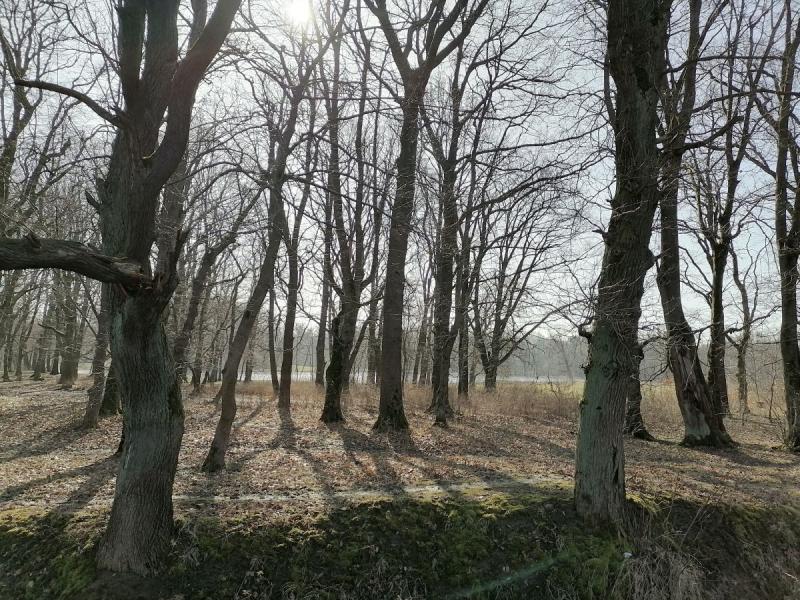 Земельный участок, 7 сот., ИЖС