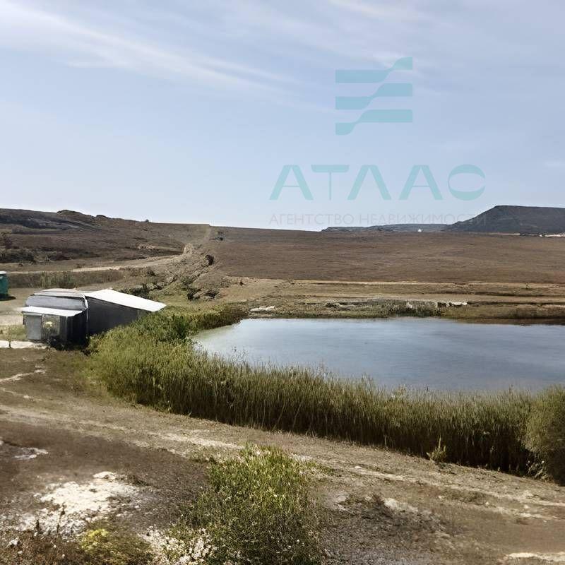 Земельный участок, 25 га.