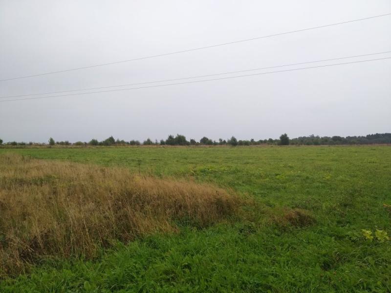 Земельный участок, Челябинская область, пос. Луговой. Фото 1