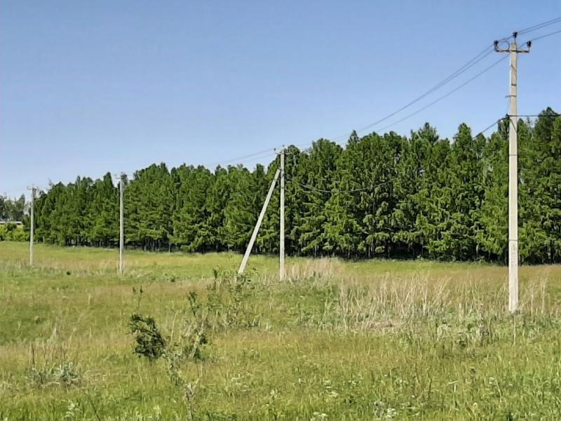 Земельный участок, Белгородская область, Бирюч, квартал Северный, Тихая улица, 12. Фото 1