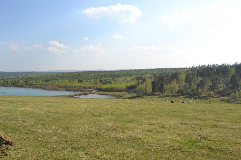 Земельный участок, Иркутская область, рп. Маркова, 4. Фото 1