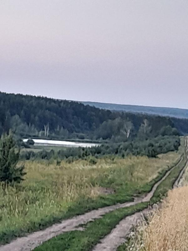 Земельный участок, Нижегородская область, Кстово, ул. 1 Мая. Фото 1
