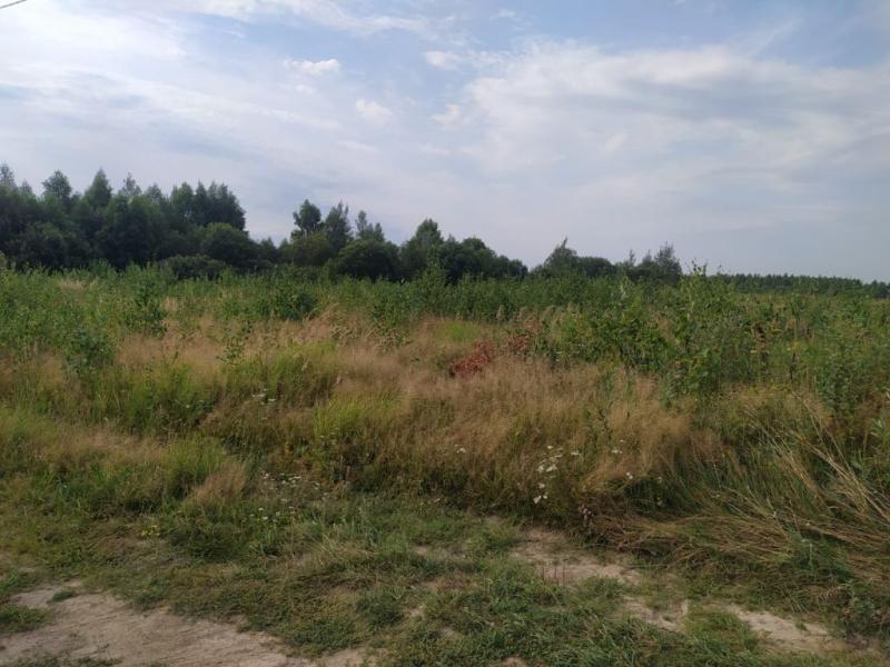 Земельный участок, Смоленская область, дер. Лубня. Фото 1