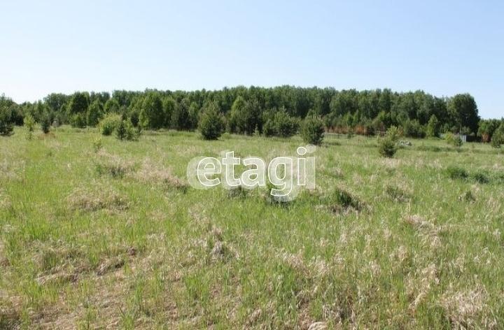 Земельный участок, Челябинская область. Фото 1