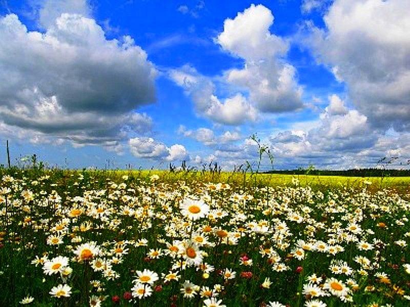 Земельный участок, 2.86 га.