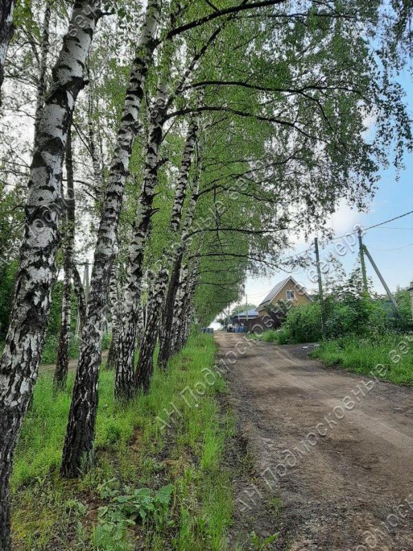 Земельный участок, Московская область, пос. Развилка, 1-й квартал. Фото 1