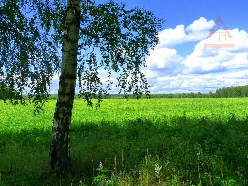 Земельный участок, Челябинская область, дер. Осиновка. Фото 1
