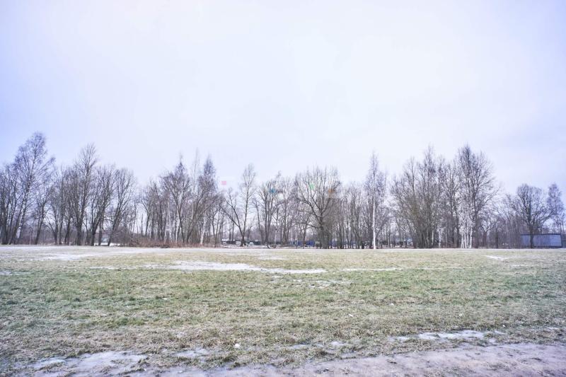 Земельный участок, Ленинградская область, дер. Игокиничи. Фото 1