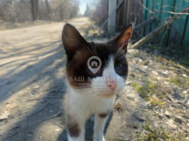 Земельный участок, 15 сот., ИЖС