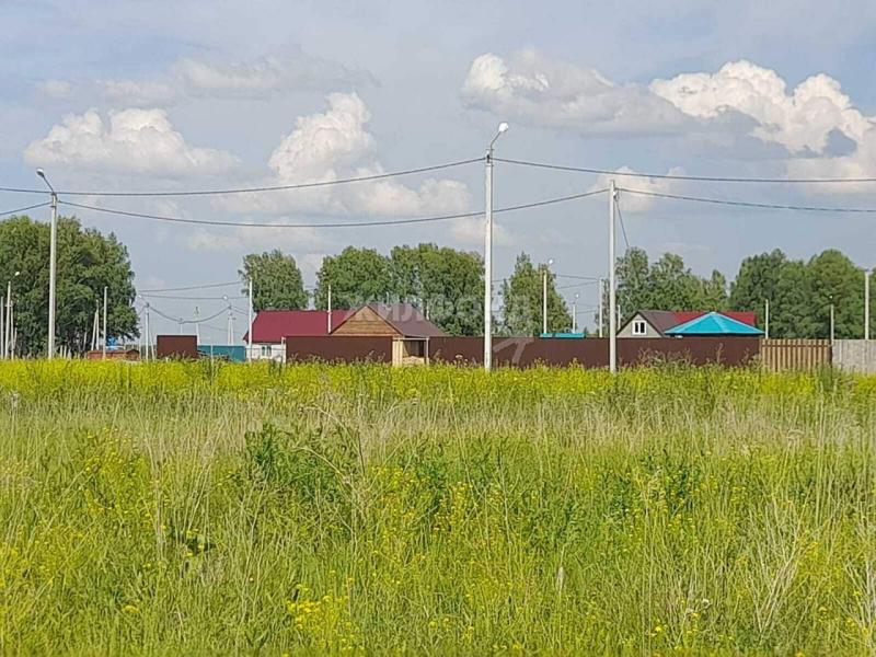 Земельный участок, Новосибирская область, рп. Горный. Фото 1