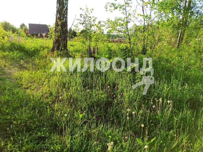 Земельный участок, Новосибирская область, садовое товарищество Экспериментатор. Фото 1