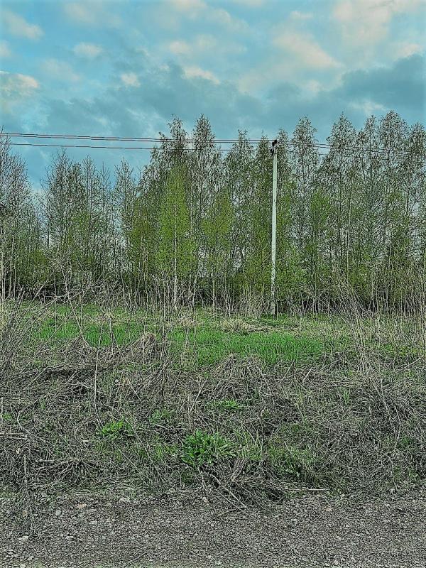 Земельный участок, Ленинградская область, дер. Кальтино. Фото 1