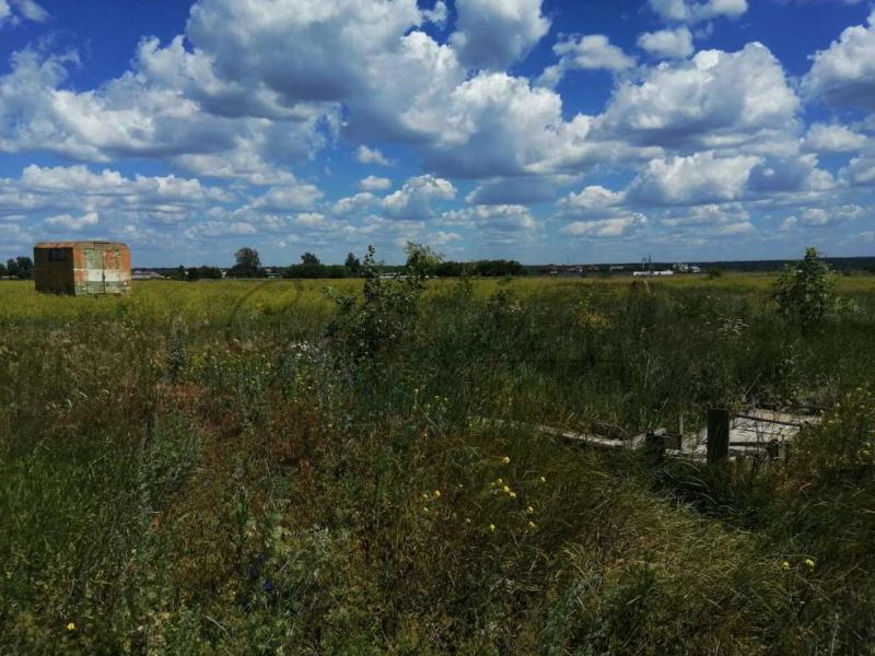 Земельный участок, Курская область, с. Бараново. Фото 1