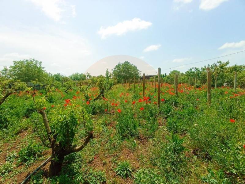 Земельный участок, 14.25 сот., ИЖС